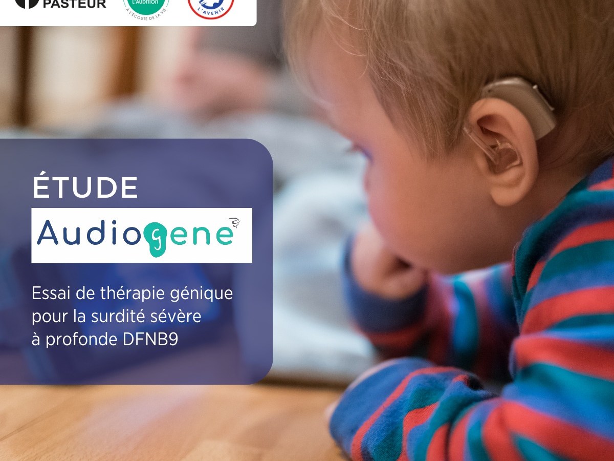 Thérapie génique surdité&nbsp;DFNB9